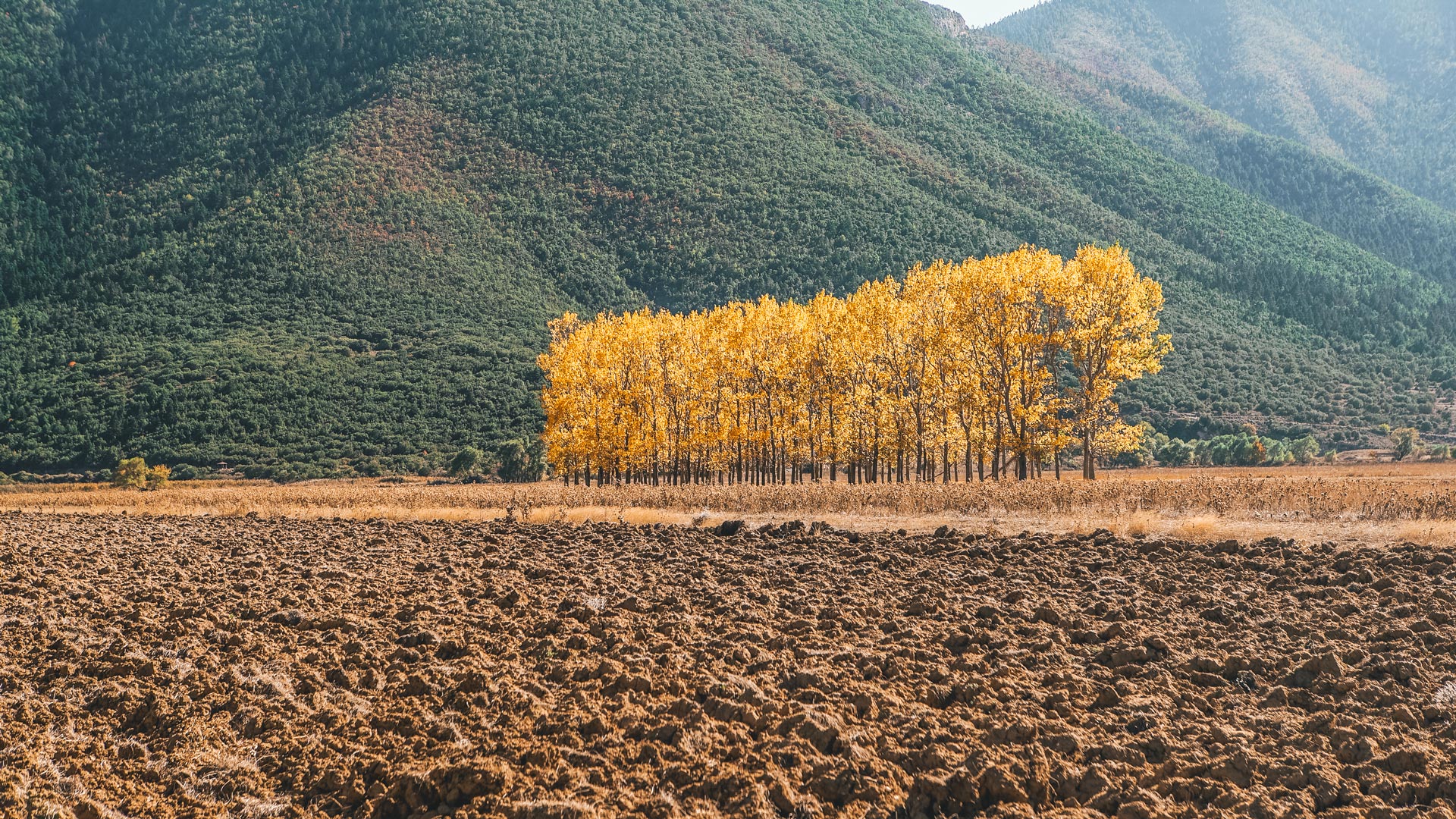 Lake Stymfalia, the ecology of a myth