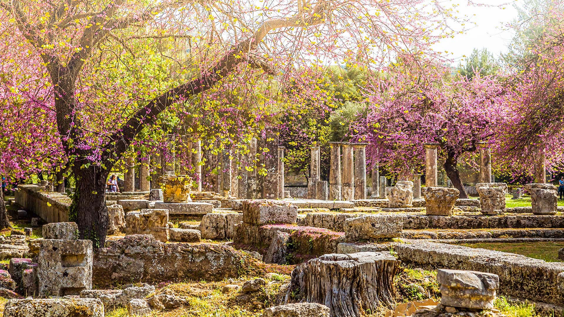 The best experience in Ancient Olympia, is in spring when the olive groves and flowers are in bloom