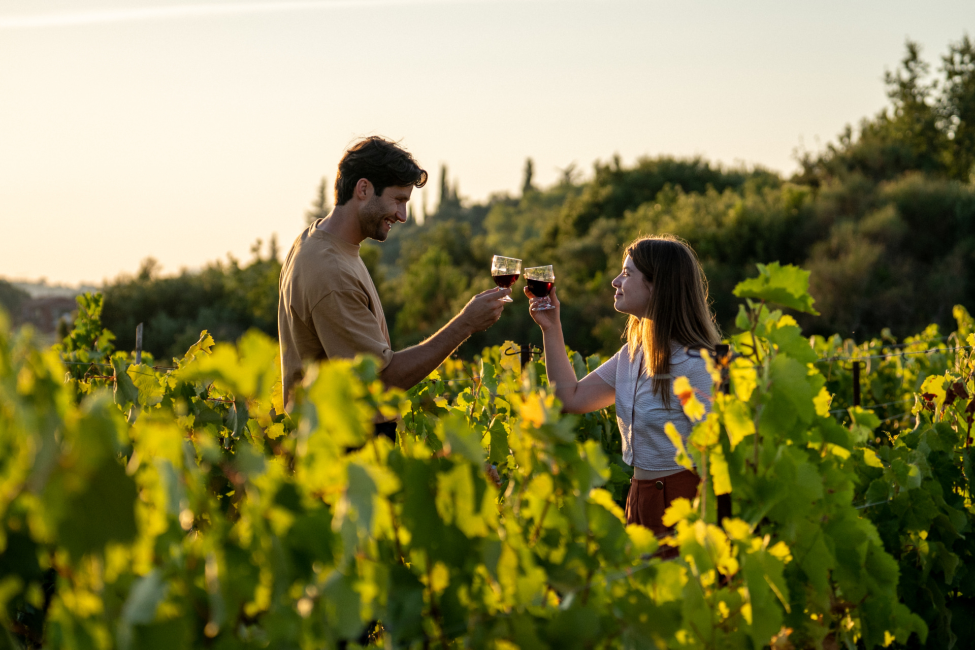 Vineyard in Corfu