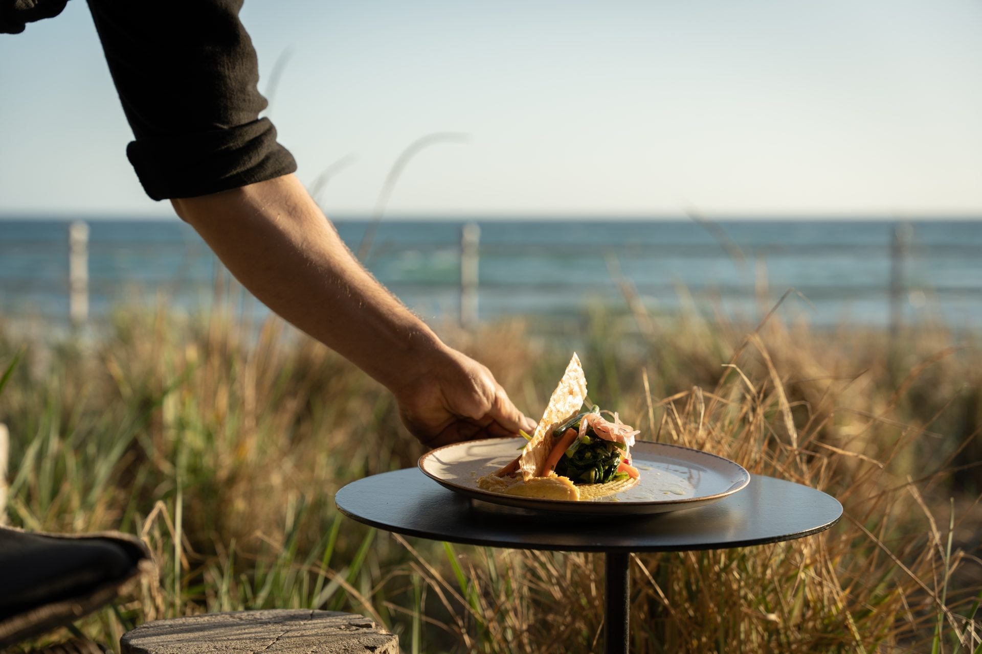 sea-to-table seafood