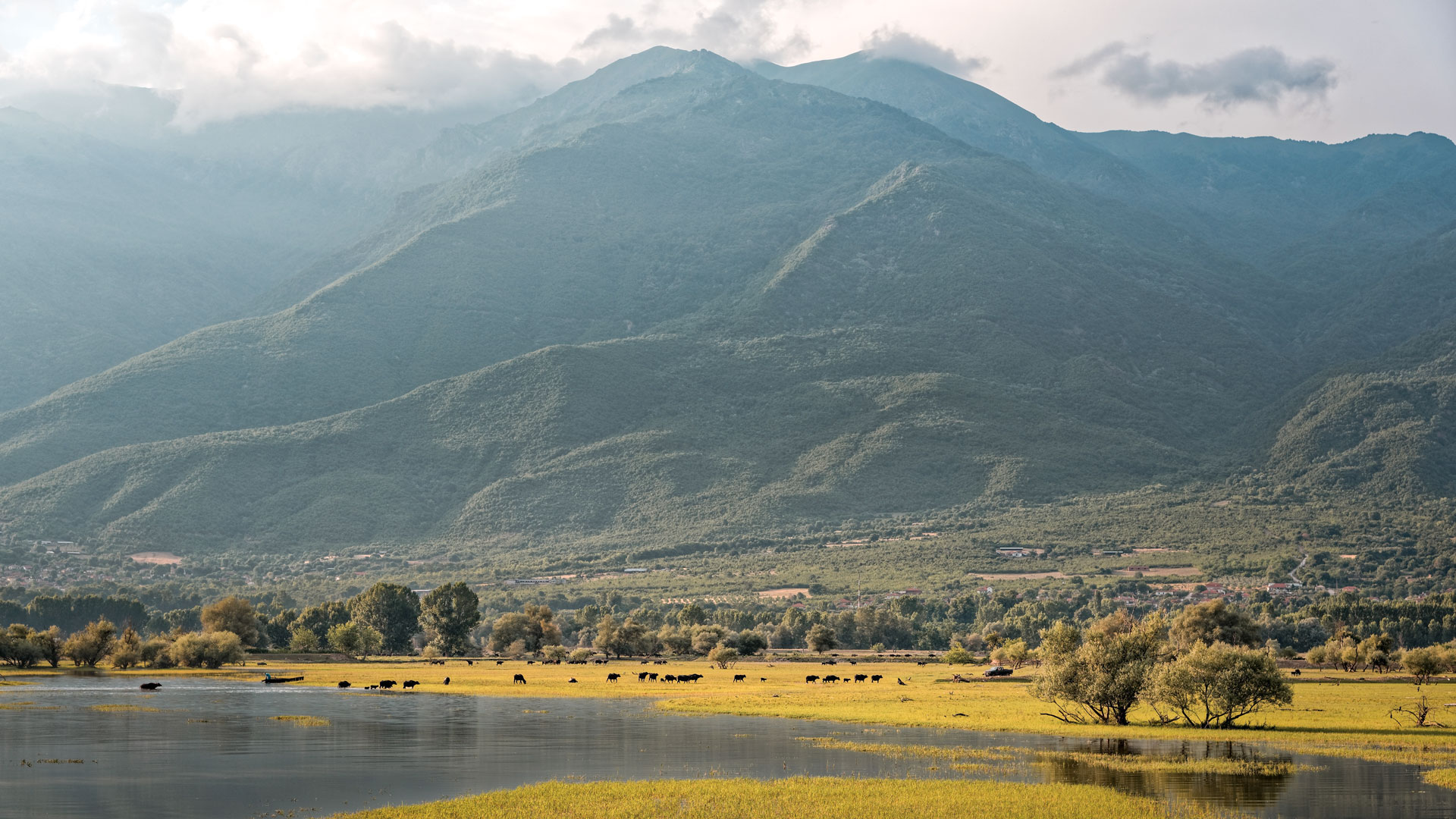 Ecotourism at its best in one of the most important wetlands in Europe, Lake Kerkini