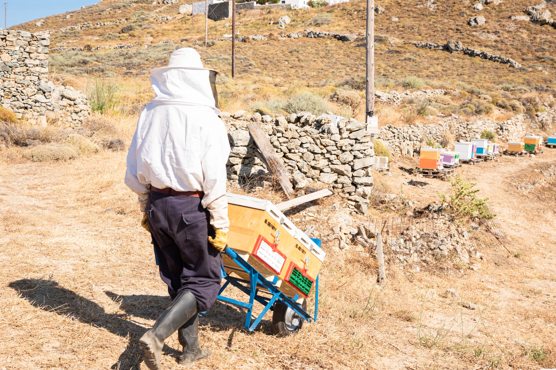 Honeymakers in Serifos