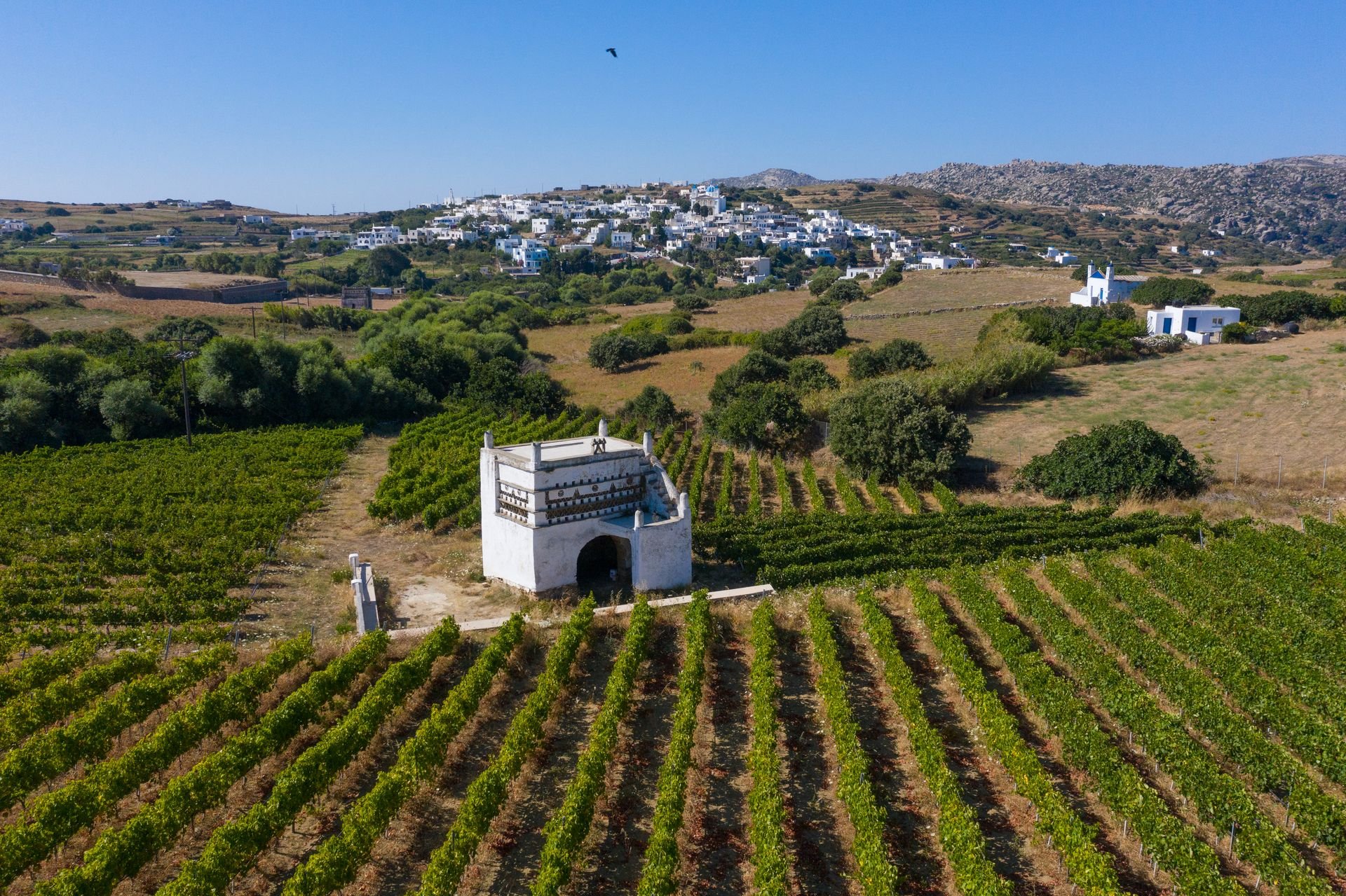 Nothing is more closely linked to the Tinian culture than its wine production and the dovecotes!