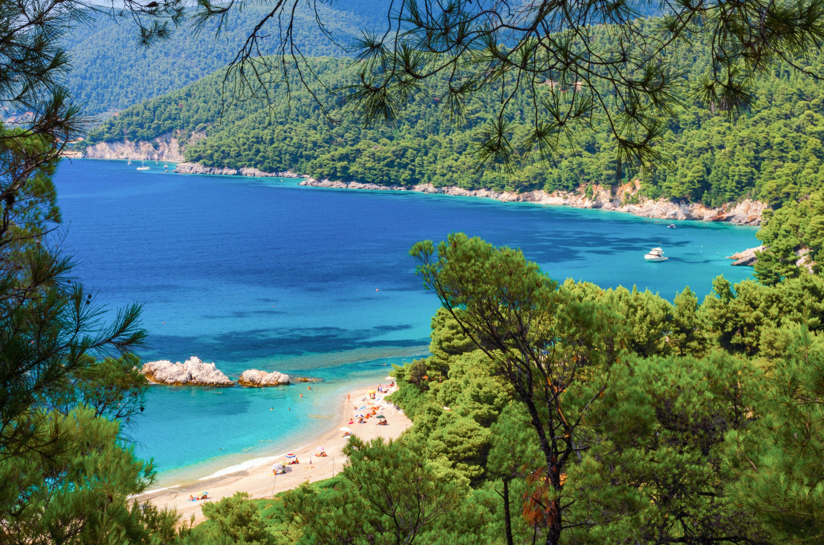 Skopelos’ Milia beach surrounded by pine trees