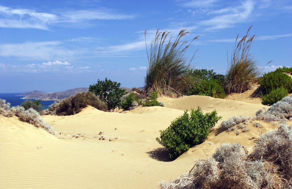 Sandy dunes