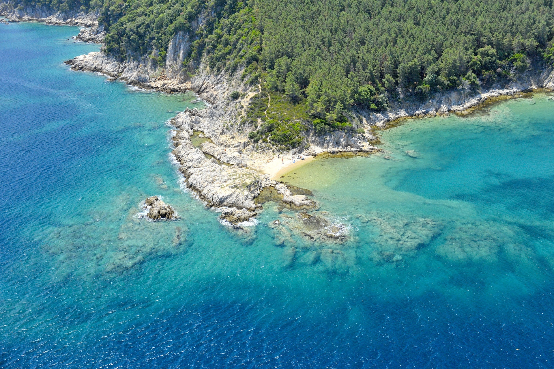 Petralona Mağarası'ndaki sarkıtlar