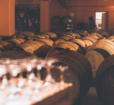 The Vineyard Picnic Experience by Lyrarakis winery