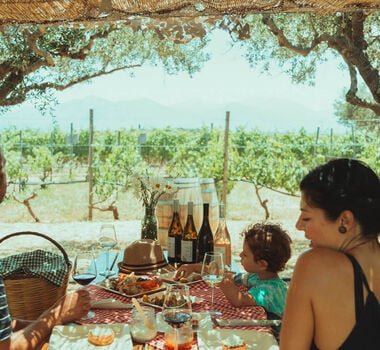 The Vineyard Picnic Experience by Lyrarakis winery