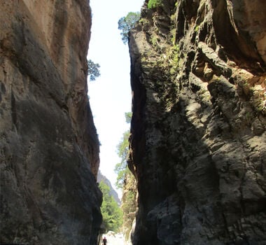 busroadtriptosamariagorge-main-image