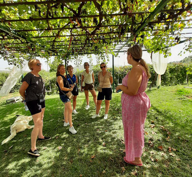 cyclingthroughancientvineyards-main-image