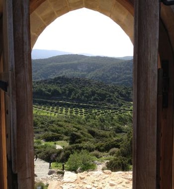 kamirosandwineregionofembona-main-image