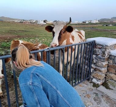 visitthemykonianfarm-main-image