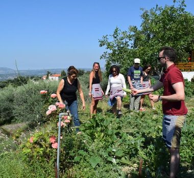 cooking-lessons-in-chania-the-real-cretan-cooking-experience-logo