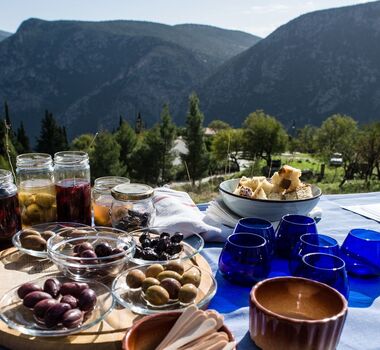delphi-ancient-olive-grove-tasting-workshop-logo