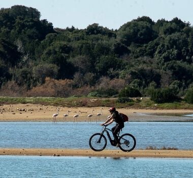 e-bike-tour-ancient-messene-way-1-logo