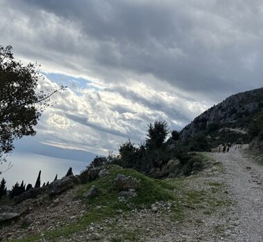 efl01kefalonia-ainos-premium-4x4-van-experience-scenic-peaks-forest-trails-1-logo