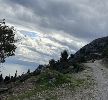 efl01kefalonia-ainos-premium-4x4-van-experience-scenic-peaks-forest-trails-1-logo