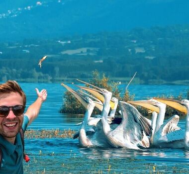 from-thessaloniki-day-trip-to-kerkini-lake-logo