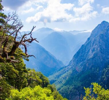 hike-the-second-most-famous-gorge-in-chania-with-our-local-mountain-guide-explore-nature-and-learn-about-the-cretan-flora-fauna-1-2-logo