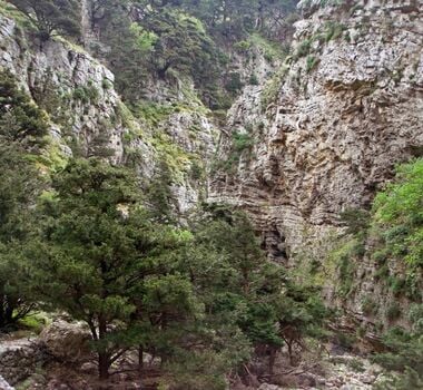 hike-the-second-most-famous-gorge-in-chania-with-our-local-mountain-guide-explore-nature-and-learn-about-the-cretan-flora-fauna-3-logo