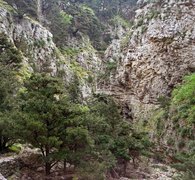 hike-the-second-most-famous-gorge-in-chania-with-our-local-mountain-guide-explore-nature-and-learn-about-the-cretan-flora-fauna-3-logo
