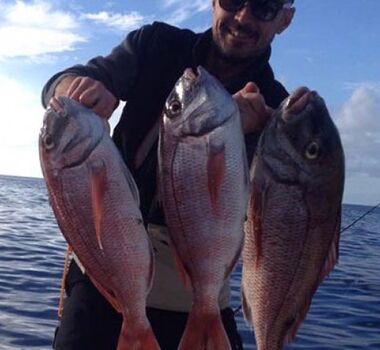 hydra-semi-private-private-fishing-trips-logo