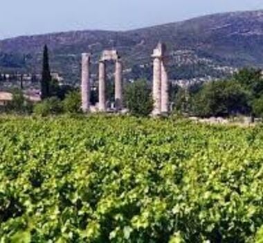 nemea-wine-experience-and-nafplion-private-tour-from-athens-logo