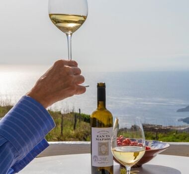syros-explore-villages-taste-local-wine-logo