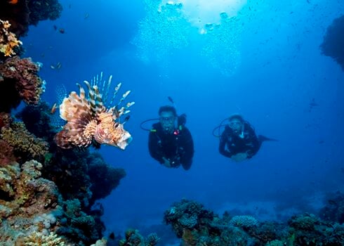 Santorini: Scuba Diving in two different sites