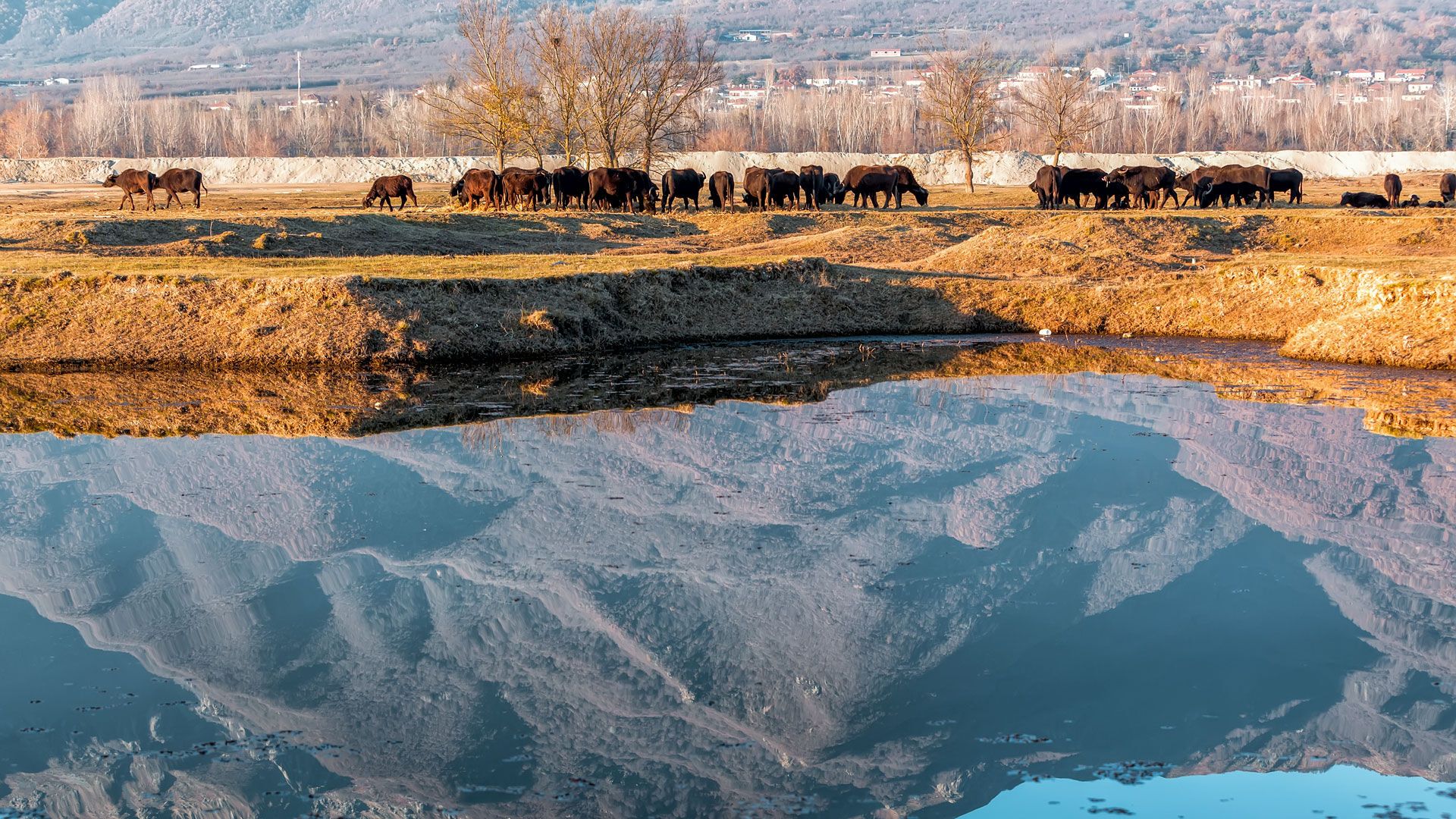 Lake Kerkini | Holidays in Macedonia | Discover Greece