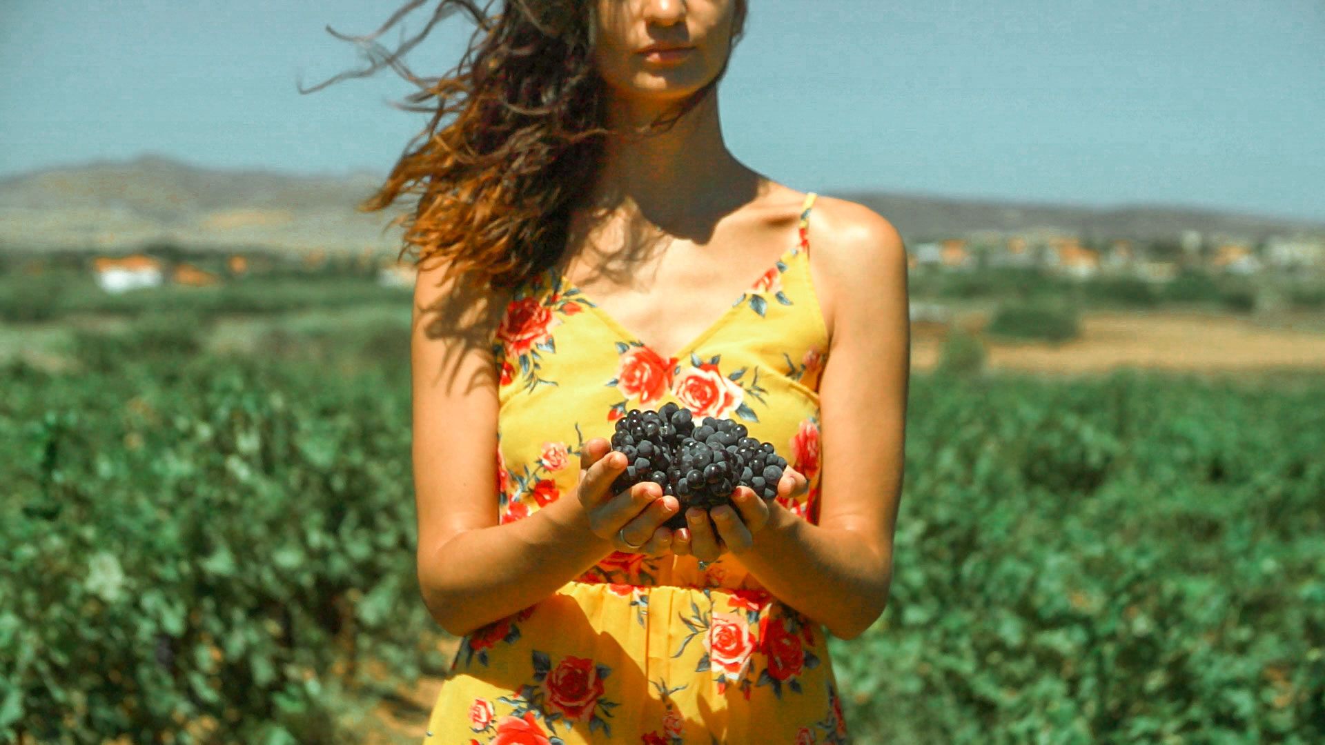 Limnos offers a large variety of wines, red and white, that have a distinctive taste thanks to the volcanic soils