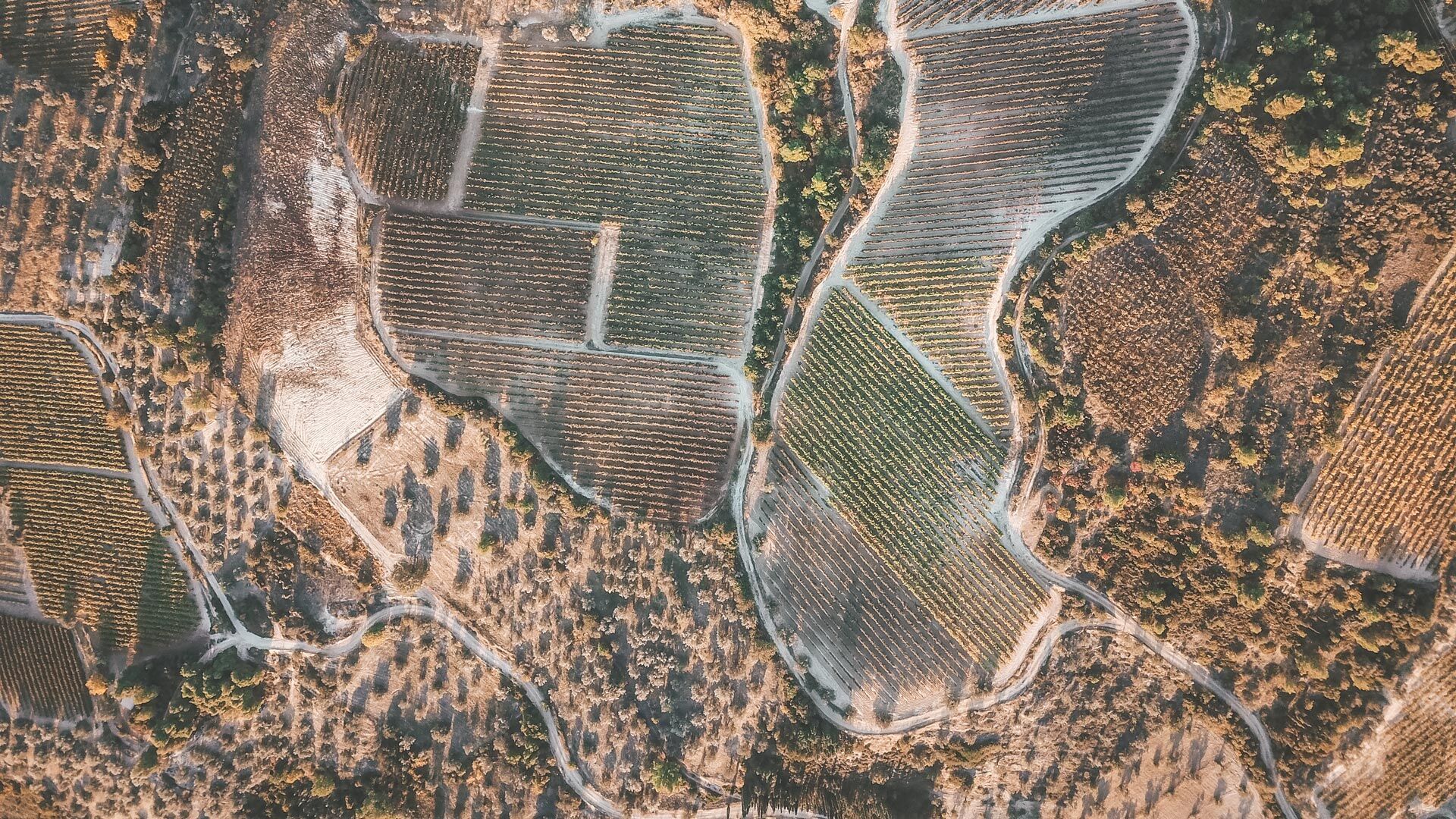 Nemea viniculture and winemaking has centuries-log tradition