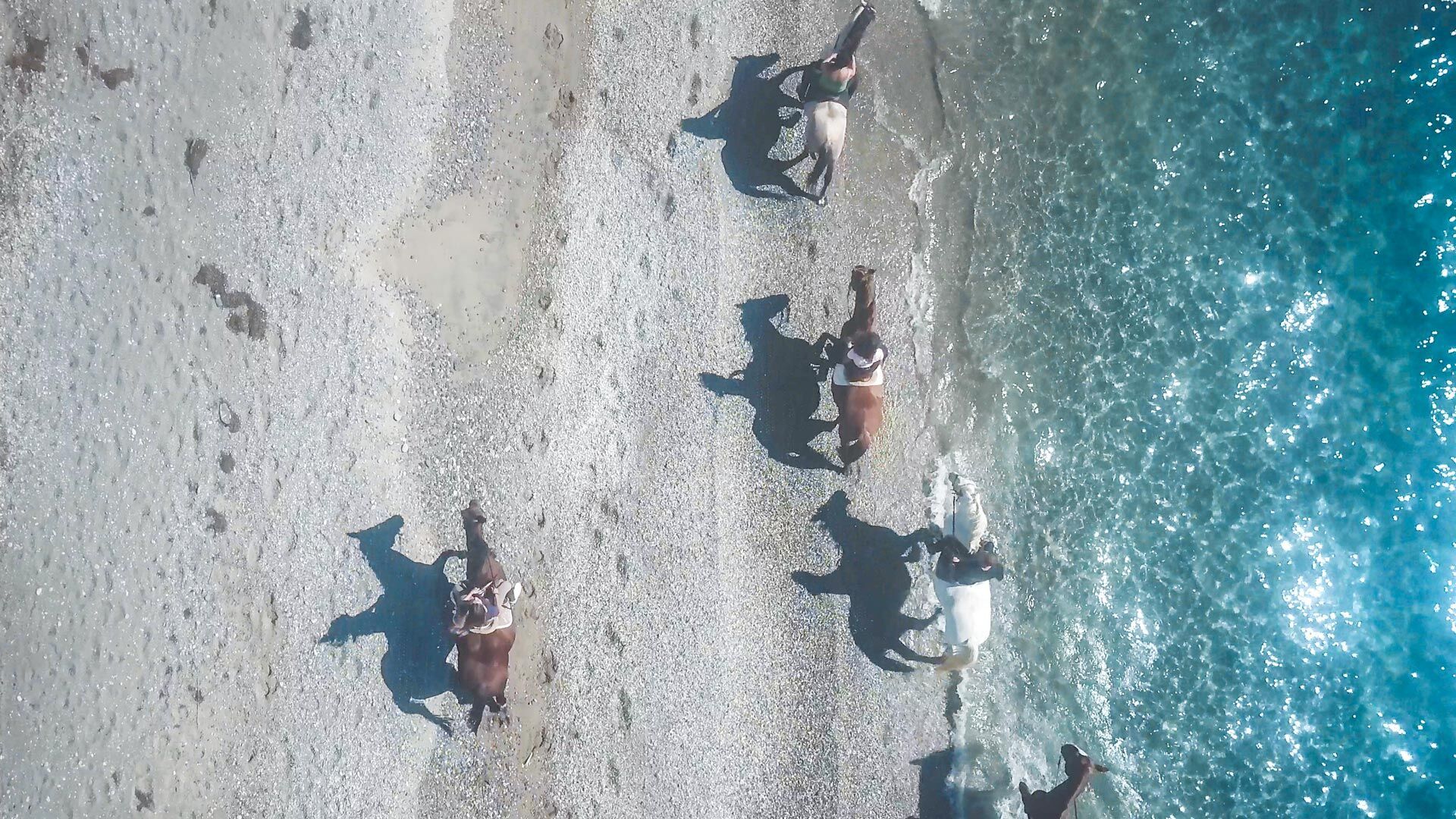Seaside horse ride activity close to Kalamata city