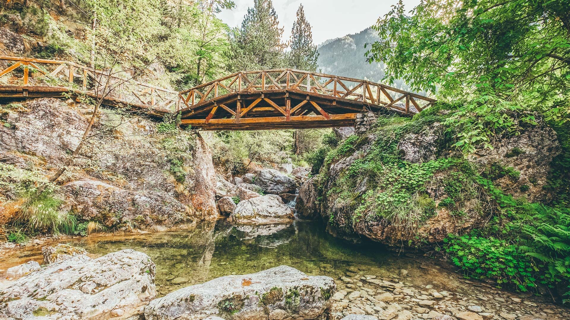 Take the path along the gorge from Mylous near Litohoro to Prionia on the edge of Olympus National Park