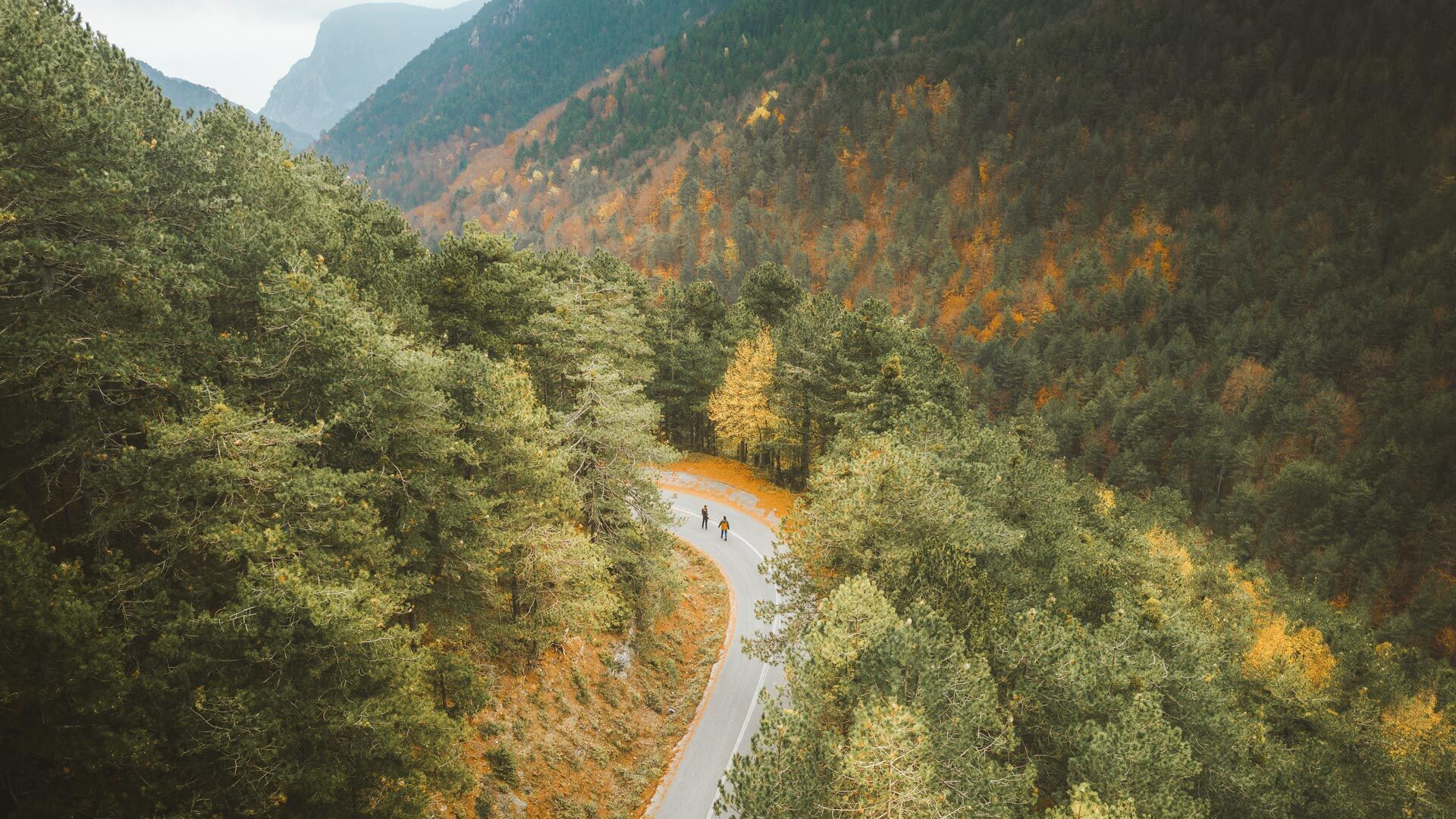 Hiking from Myli, just outside Litochoro, to Prionia (the highest point reachable by car) is one of the most popular routes