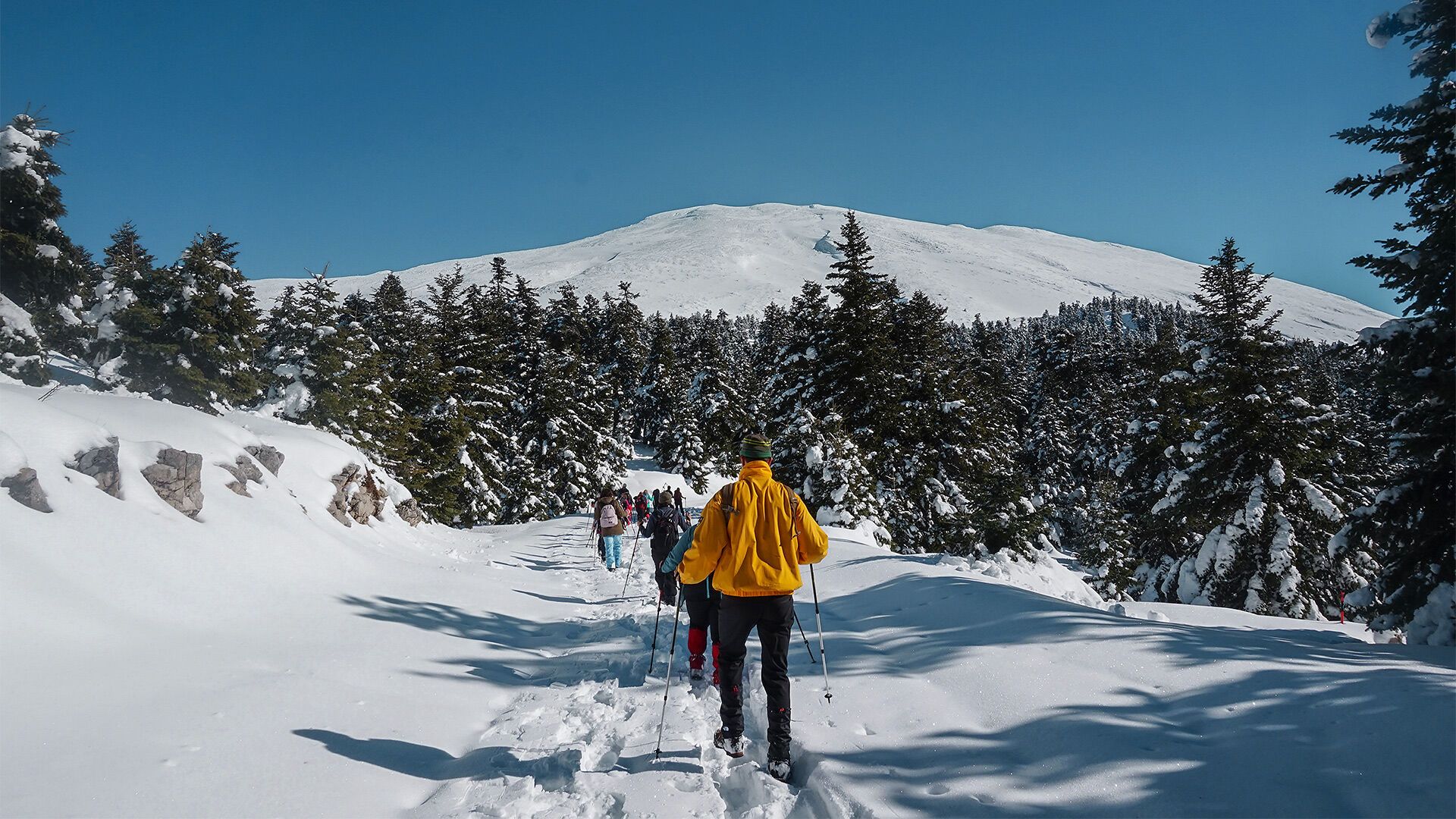 The road to Parnassus shelter