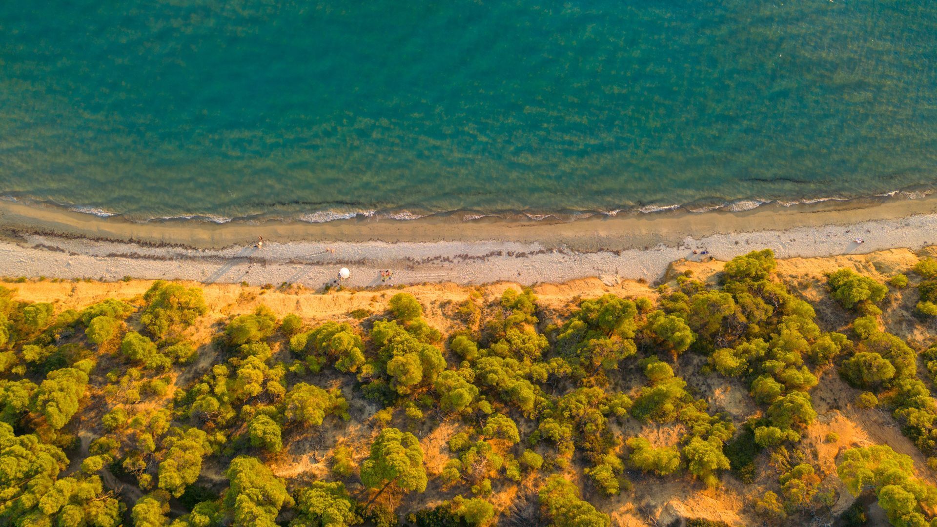 Halkidiki beaches