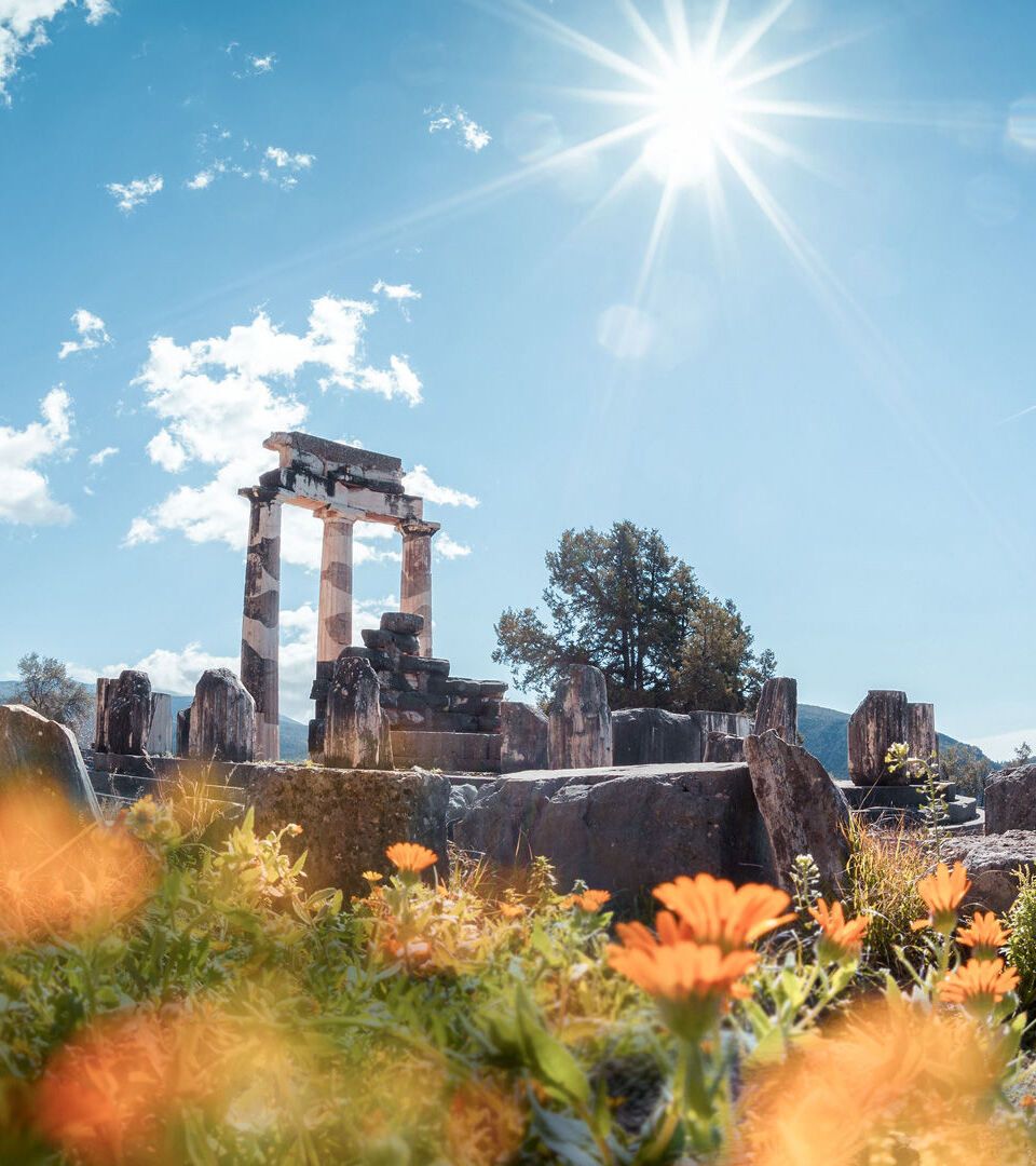 The best experience is in spring when the olive groves and wildflowers are in bloom