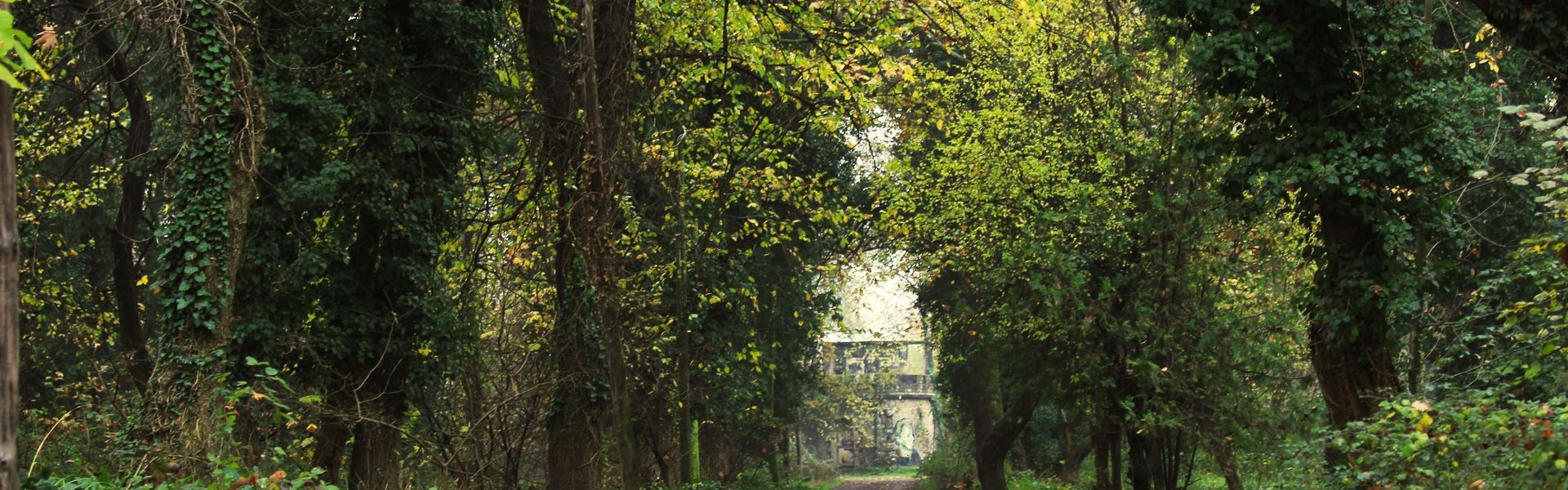 The best experience in Ancient Olympia, is in spring when the olive groves and flowers are in bloom