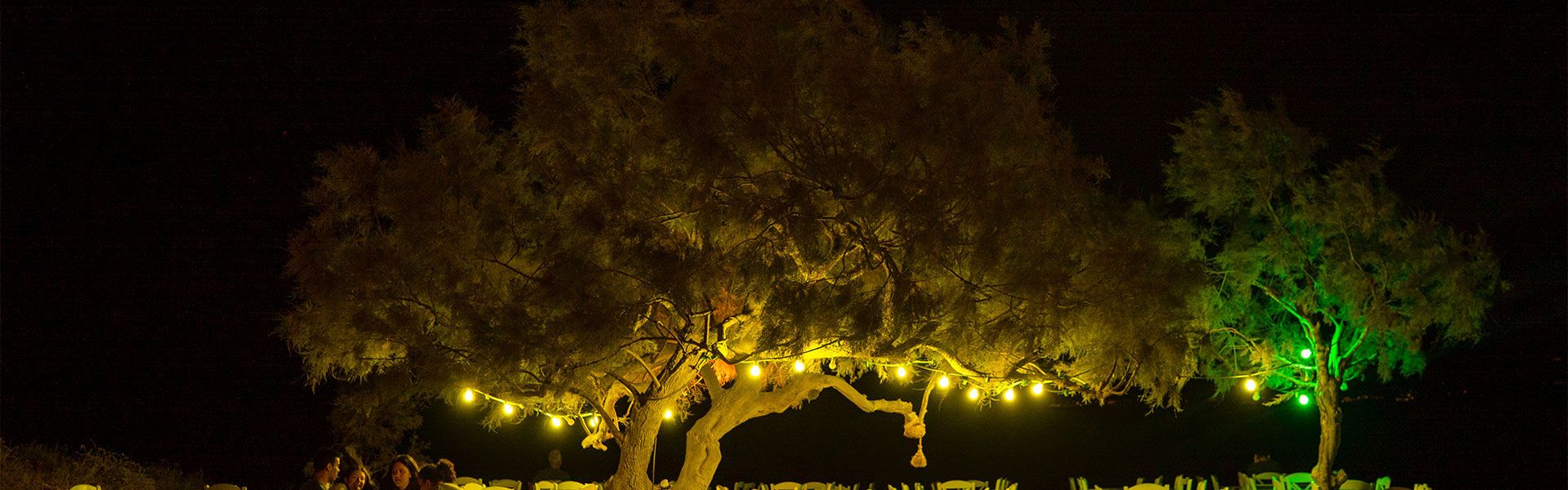 Paradeisos taverna, Naxos island