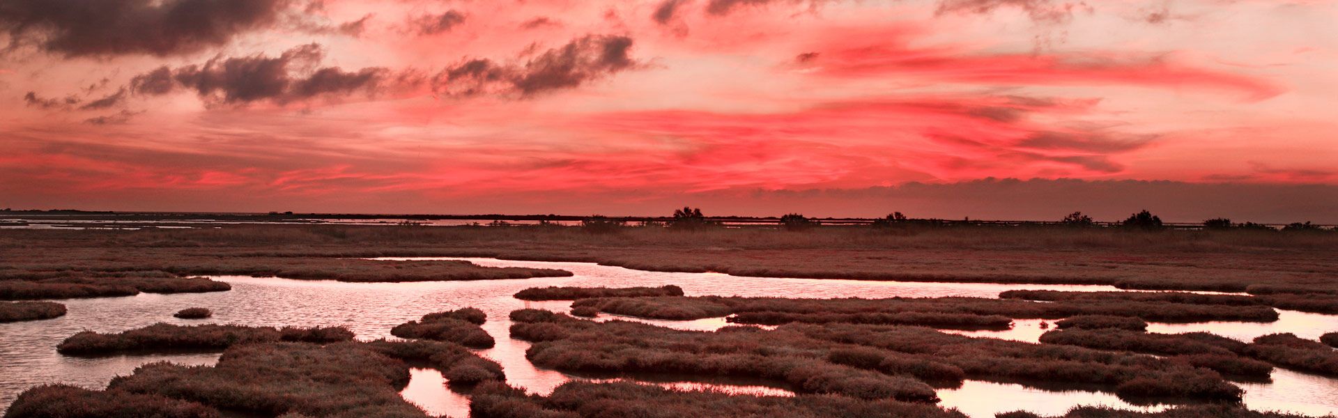The Evros Delta, a way station for flying migrants