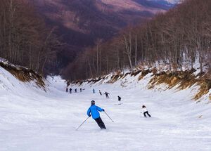 On the western slopes of Mt Vermion, the 3-5 Pigadia ski centre boasts the longest and most difficult piste in Greece