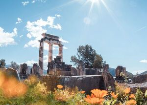 The best experience is in spring when the olive groves and wildflowers are in bloom 