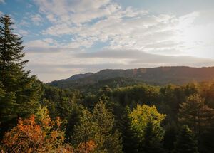 In central Evia there is Dirfis and its alpine landscapes
