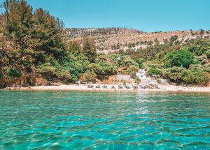 Pine trees and crysta clear waters on Arsanas beach in Thassos