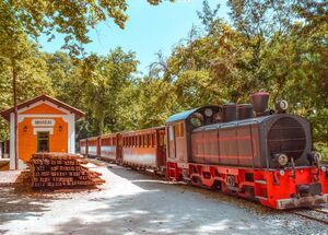 The legendary old steam train of Pelion is popularly known as Moutzouris