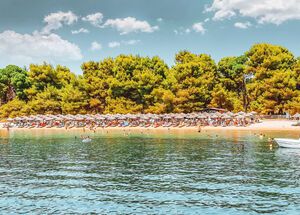 Koukounaries has been winning over the hearts of visitors to Skiathos for decades