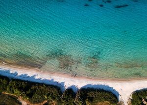 Paliouri beach, Halkidiki