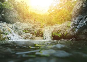 Just the setting catapults this experience into once-in-a-lifetime territory, surrounded by the thick forest and gushing waters