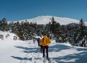 The road to Parnassus shelter